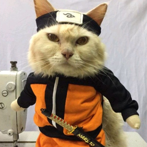 Naruto Cat logo