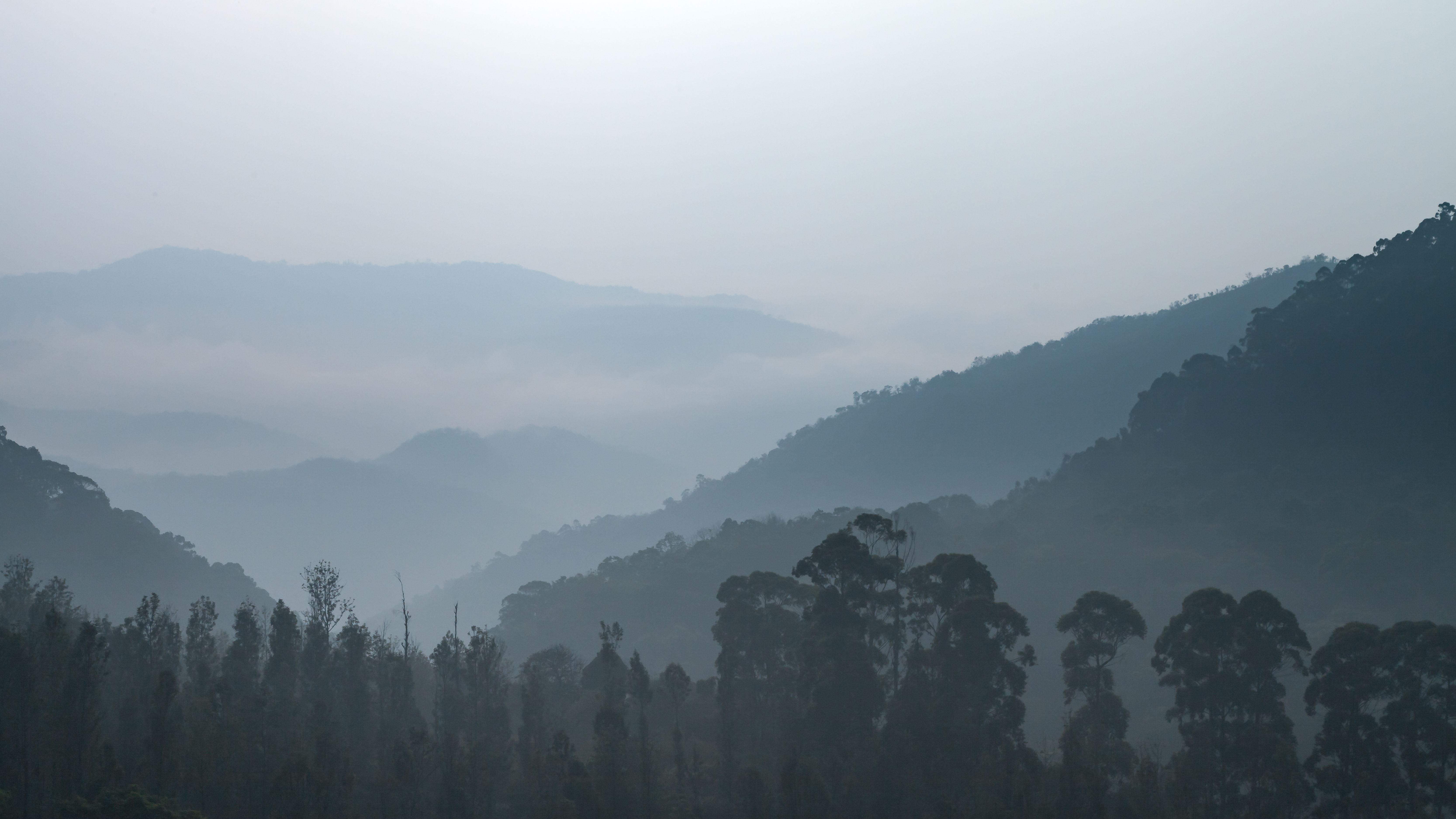 https://supercast.mypinata.cloud/ipfs/QmdVboY6nrmWji5ACHTXwnu1aQRTkfSCqEH5xXc3QegDaP?filename=Layers-of-the-Western-Ghats.jpg