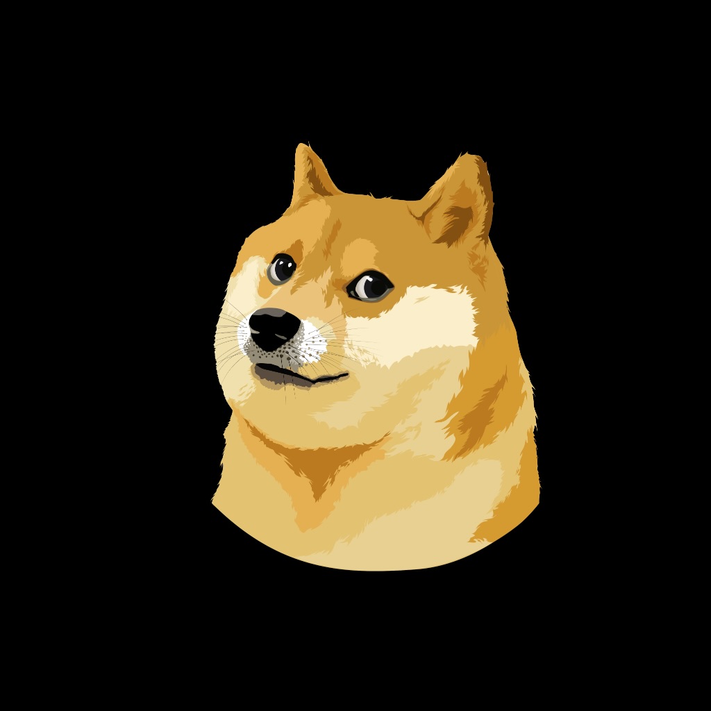 DoctrZ pfp